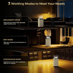 KeepGlad 80-Pint Energy Star dehumidifier 4500 sq ft| Energy Star